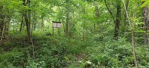 Burgstall Schönstein