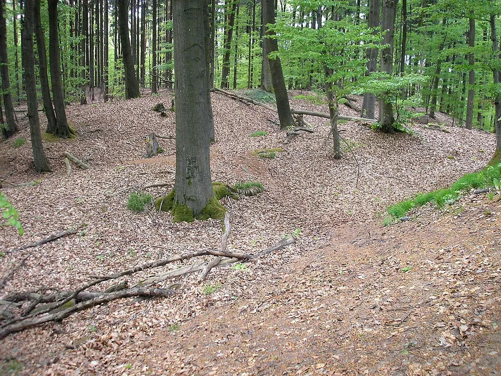 Stufenberg castle (Baunach, Landkreis Bamberg, Upper Franconia, Bavaria, Germany). The western earthworks in front of the central castle