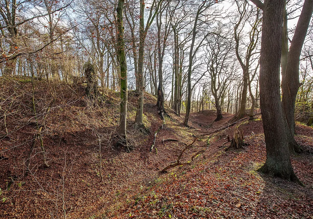 Burg Reineberg bei Lübbecke, Kreis Kreis Minden-Lübbecke in Nordrhein-Westfalen. (Ansicht auf die Burgstelle und den Burggraben).