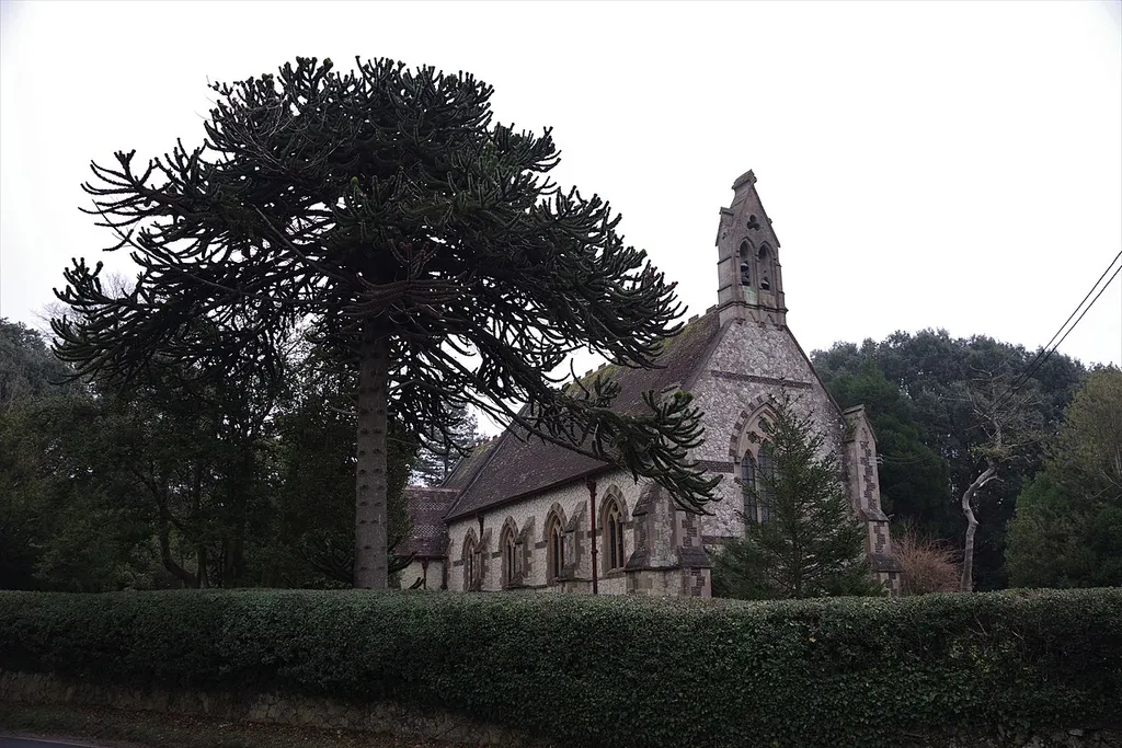 Church of All Saints .mw-parser-output .messagebox{margin:4px 0;width:auto;border-collapse:collapse;border:2px solid var(--border-color-progressive,#6485d1);background-color:var(--background-color-neutral-subtle,#fbfcff);color:var(--color-base,#202122);box-sizing:border-box;border-inline-start-width:8px}.mw-parser-output .messagebox.mbox-small{font-size:88%;line-height:1.25em}.mw-parser-output .mbox-warning,.mw-parser-output .mbox-speedy{border:2px solid var(--border-color-error,#b22222);background:var(--background-color-error-subtle,#ffdbdb);border-inline-start-width:8px}.mw-parser-output .mbox-serious,.mw-parser-output .mbox-delete,.mw-parser-output .mbox-stop{border:2px solid var(--border-color-error,#b22222);border-inline-start-width:8px}.mw-parser-output .mbox-issue,.mw-parser-output .mbox-content{border:2px solid #f28500;background:var(--background-color-warning-subtle,#ffe);border-inline-start-width:8px}.mw-parser-output .mbox-query,.mw-parser-output .mbox-style{border:2px solid #f4c430;background:var(--background-color-warning-subtle,#ffe);border-inline-start-width:8px}.mw-parser-output .mbox-shit{border:2px solid #960;border-inline-start-width:8px}.mw-parser-output .mbox-license{border:2px solid #88a;border-inline-start-width:initial}.mw-parser-output .mbox-legal{border:2px solid var(--border-color-notice,#666);background:var(--background-color-base,#fff);border-inline-start-width:8px}.mw-parser-output .mbox-honor{border:2px solid #ca3;background:var(--background-color-warning-subtle,#fcf4db);border-inline-start-width:8px}.mw-parser-output .mbox-growth{border:2px solid #8d4;background:var(--background-color-success-subtle,#d5fdf4);border-inline-start-width:8px}.mw-parser-output .mbox-move{border:2px solid #93c;border-inline-start-width:8px}.mw-parser-output .mbox-protection,.mw-parser-output .mbox-message{border:2px solid var(--border-color-base,#aaa);border-inline-start-width:8px}.mw-parser-output .messagebox .mbox-text{border:none;padding:0.25em 0.9em;wid