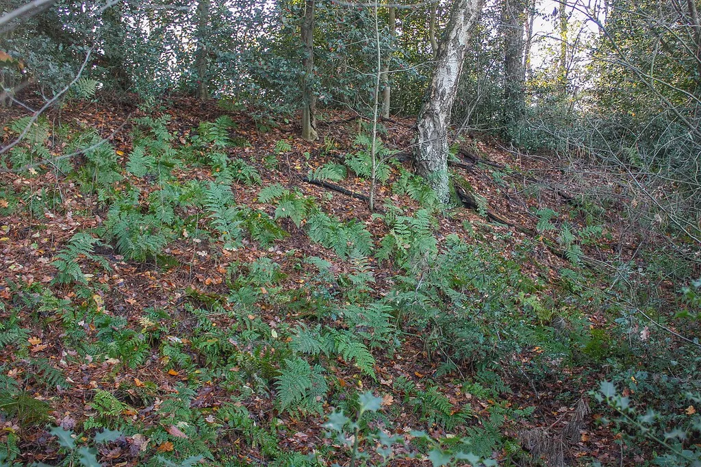 Der östliche Wall der Burg bei Deblinghausen