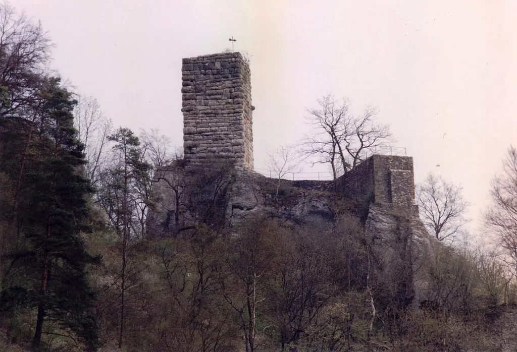Burg Hohenhundersingen, Westseite
