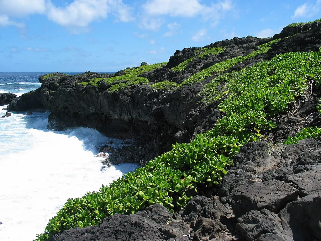 Haleakalā National Park