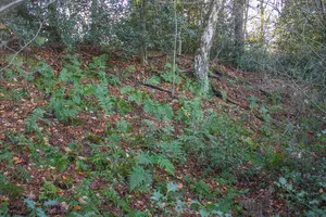 Burg bei Deblinghausen