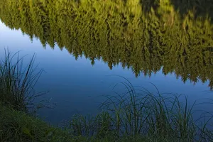 Lother Teich