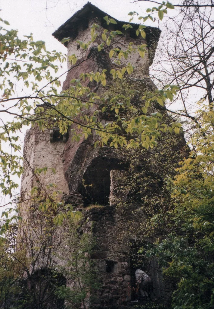 This media shows the cultural heritage monument with the number 14768 in South Tyrol. (Wikidata) Burg Festenstein, Südtirol