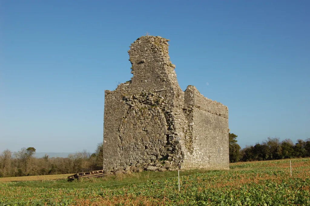 Ballylarkin Church .mw-parser-output .messagebox{margin:4px 0;width:auto;border-collapse:collapse;border:2px solid var(--border-color-progressive,#6485d1);background-color:var(--background-color-neutral-subtle,#fbfcff);color:var(--color-base,#202122);box-sizing:border-box;border-inline-start-width:8px}.mw-parser-output .messagebox.mbox-small{font-size:88%;line-height:1.25em}.mw-parser-output .mbox-warning,.mw-parser-output .mbox-speedy{border:2px solid var(--border-color-error,#b22222);background:var(--background-color-error-subtle,#ffdbdb);border-inline-start-width:8px}.mw-parser-output .mbox-serious,.mw-parser-output .mbox-delete,.mw-parser-output .mbox-stop{border:2px solid var(--border-color-error,#b22222);border-inline-start-width:8px}.mw-parser-output .mbox-issue,.mw-parser-output .mbox-content{border:2px solid #f28500;background:var(--background-color-warning-subtle,#ffe);border-inline-start-width:8px}.mw-parser-output .mbox-query,.mw-parser-output .mbox-style{border:2px solid #f4c430;background:var(--background-color-warning-subtle,#ffe);border-inline-start-width:8px}.mw-parser-output .mbox-shit{border:2px solid #960;border-inline-start-width:8px}.mw-parser-output .mbox-license{border:2px solid #88a;border-inline-start-width:initial}.mw-parser-output .mbox-legal{border:2px solid var(--border-color-notice,#666);background:var(--background-color-base,#fff);border-inline-start-width:8px}.mw-parser-output .mbox-honor{border:2px solid #ca3;background:var(--background-color-warning-subtle,#fcf4db);border-inline-start-width:8px}.mw-parser-output .mbox-growth{border:2px solid #8d4;background:var(--background-color-success-subtle,#d5fdf4);border-inline-start-width:8px}.mw-parser-output .mbox-move{border:2px solid #93c;border-inline-start-width:8px}.mw-parser-output .mbox-protection,.mw-parser-output .mbox-message{border:2px solid var(--border-color-base,#aaa);border-inline-start-width:8px}.mw-parser-output .messagebox .mbox-text{border:none;padding:0.25em 0.9em;width