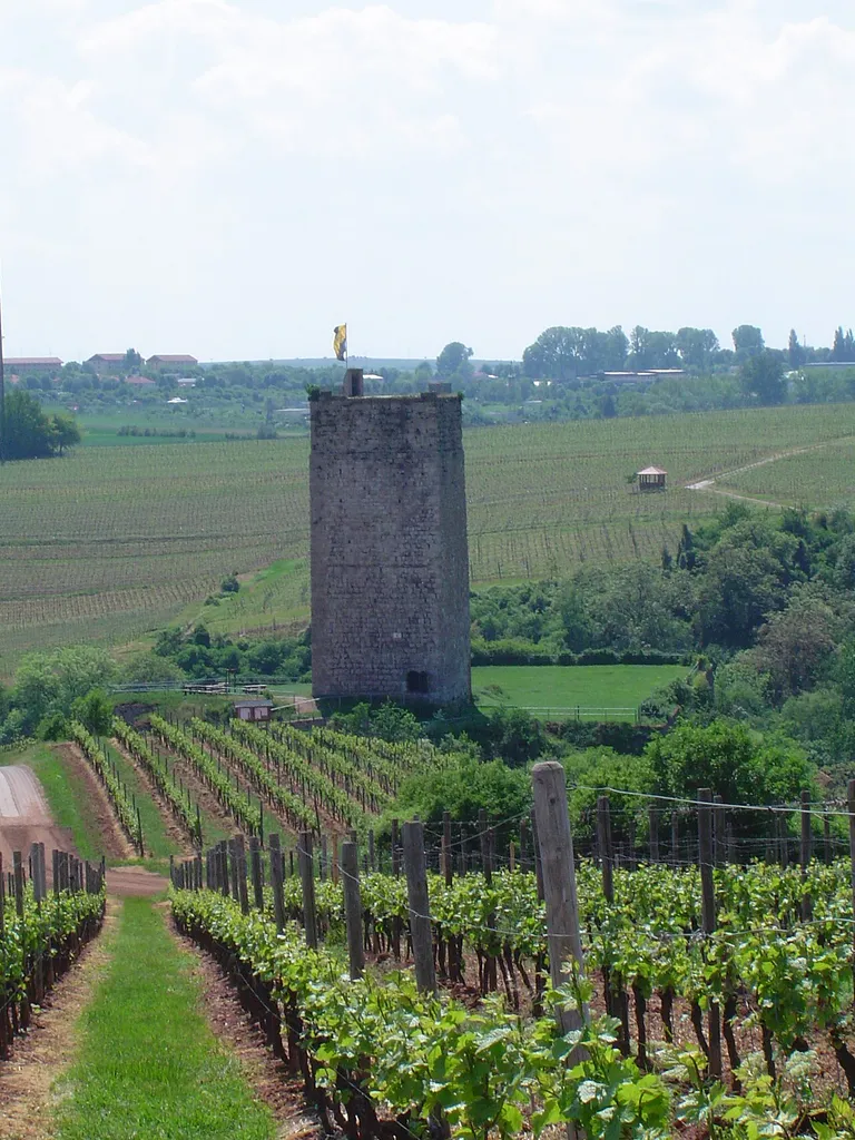 Burg Schwabsburg bei Nierstein
