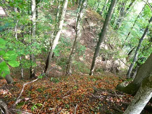 Burg Schweinhausen