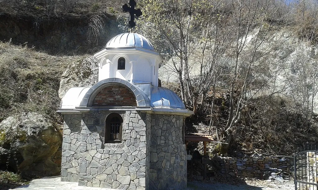 Фотографии од Луковица