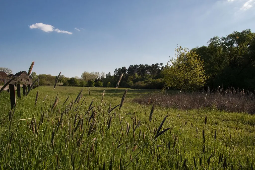 Nachtweide von Patershausen