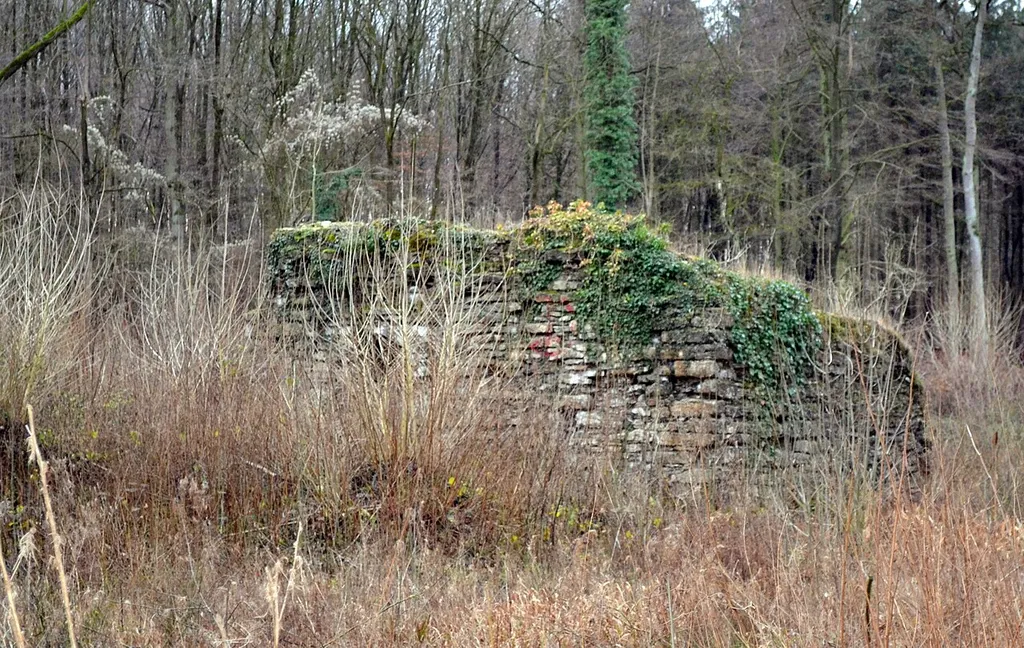 Ruine Nienburg