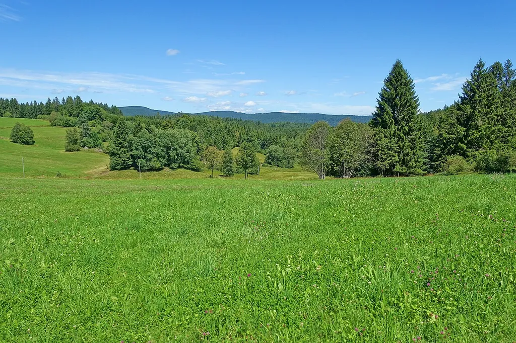 Black Forest Biosphere Reserve