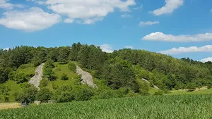 Naturdenkmal Steinriegel Dittwar Burghelle