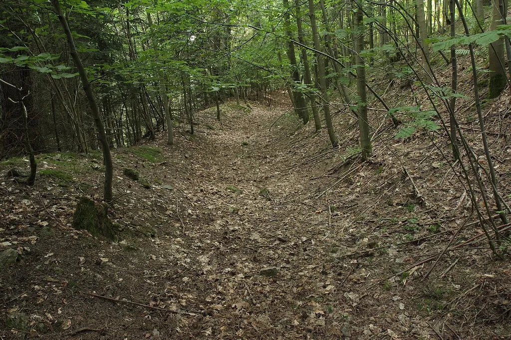 Burgstall Ramberg - Blick in den östlichen Bereich des Ringgrabens