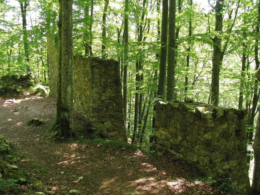 Mauerreste der Ruine Neuenbuchberg bei Freyung