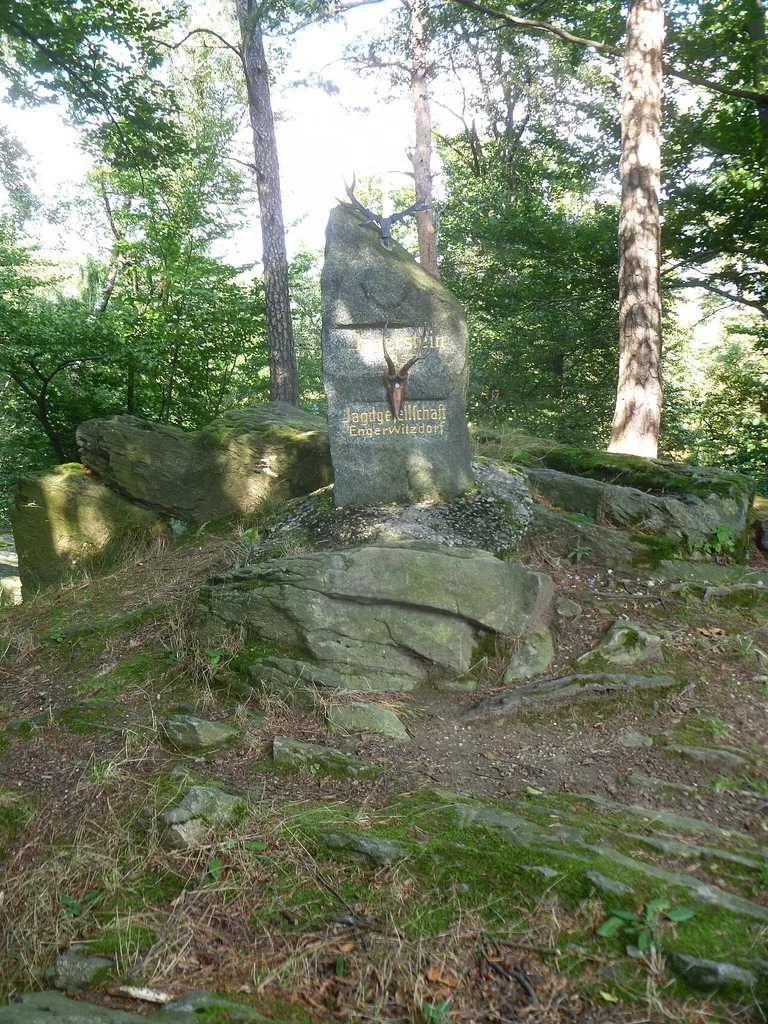 Burgstall Hohenberg (Engerwitzdorf)