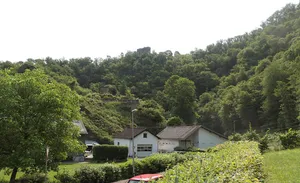 Burgruine Schwarzenberg (Haneck)
