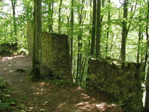 Burg Neuenbuchberg