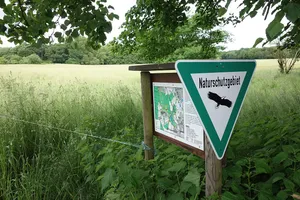 Langhorst von Hainburg und Seligenstadt