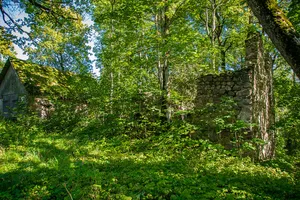 Skujene Castle ruins