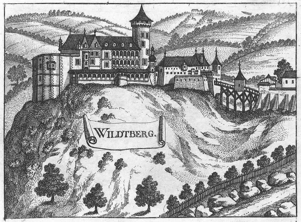 Engraving, view of Wildberg castle, Upper Austria