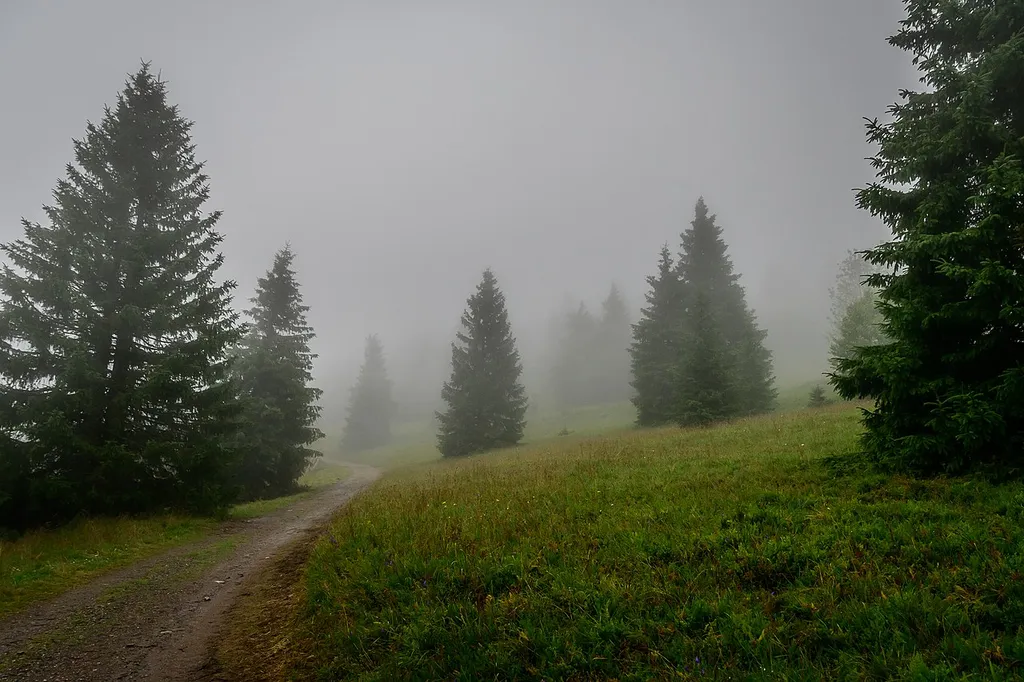Hochschwarzwald um den Feldberg und Bernauer Hochtal