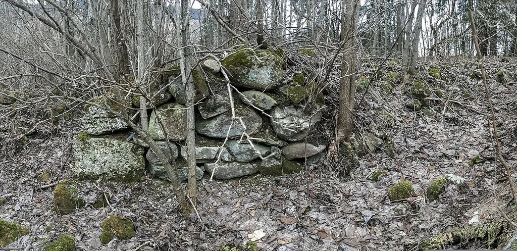 Überreste der Grundmauern der Edtburg