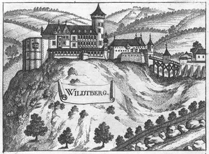 Burg Wildberg