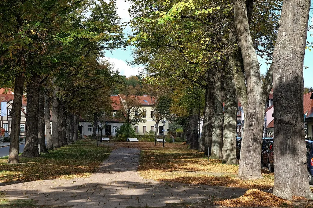 Dreireihige Sommerlindenallee vor der Kreuzkirche, Kirchplatz in Königs Wusterhausen, Landkreis Dahme-Spreewald, Brandenburg. Naturdenkmal, Nordteil, Blick von Süden