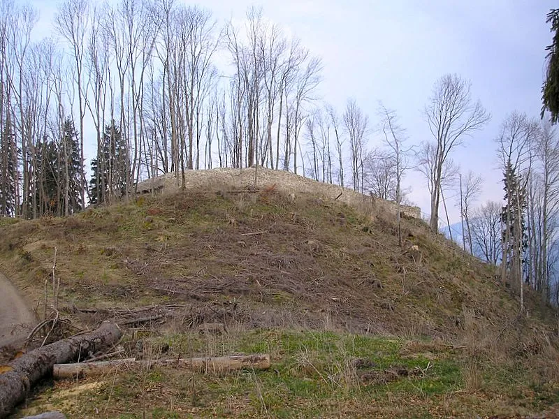 Burg Hopfen (Allgäu). Der Burghügel mit der sanierten Ringmauer von Norden