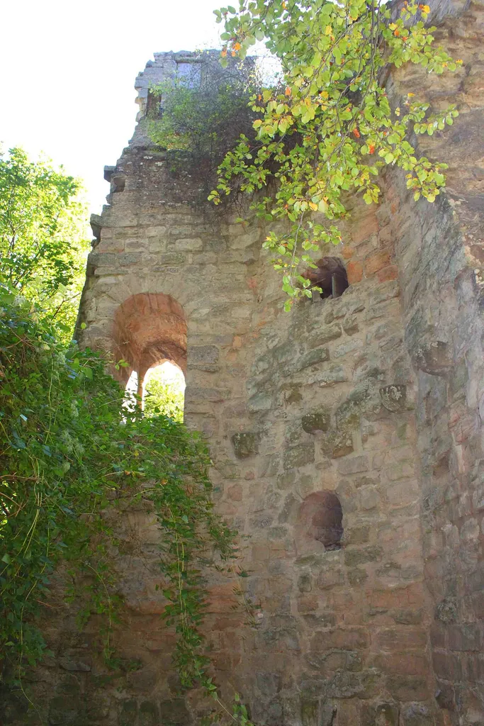 Burgruine Stollburg auf dem Stollberg. Die Burg soll der Geburtsort des Minnesängers Walther von der Vogelweide sein