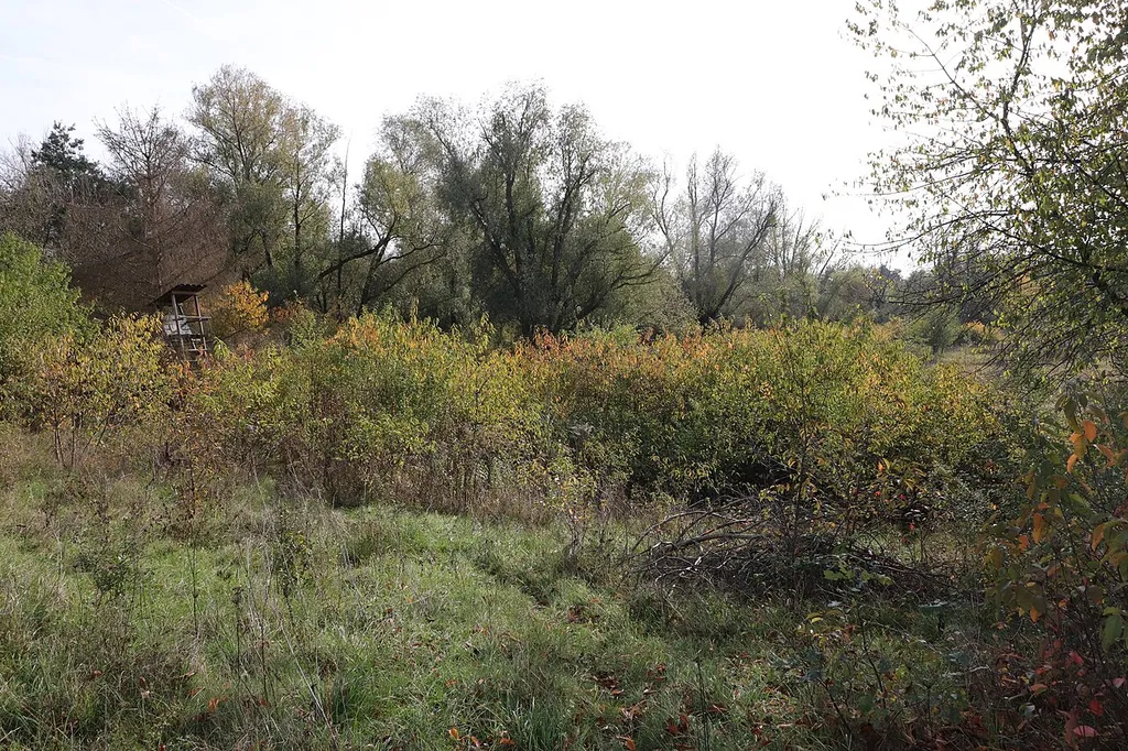 Großostheim, landscape protection area 00274.01 "Schutz eines Landschaftsraumes in der Gemarkung Großostheim, Landkreis Aschaffenburg – ehem. Kiesgrube Höfling", WDPA 395751
