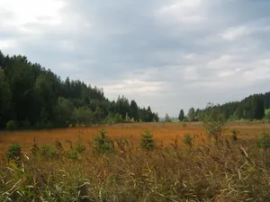 Schutz der Ruinen Hohenfreyberg - Eisenberg im Landkreis Füssen