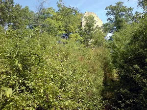 Burg Siegenstein
