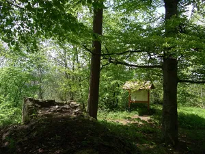 Burg Ror