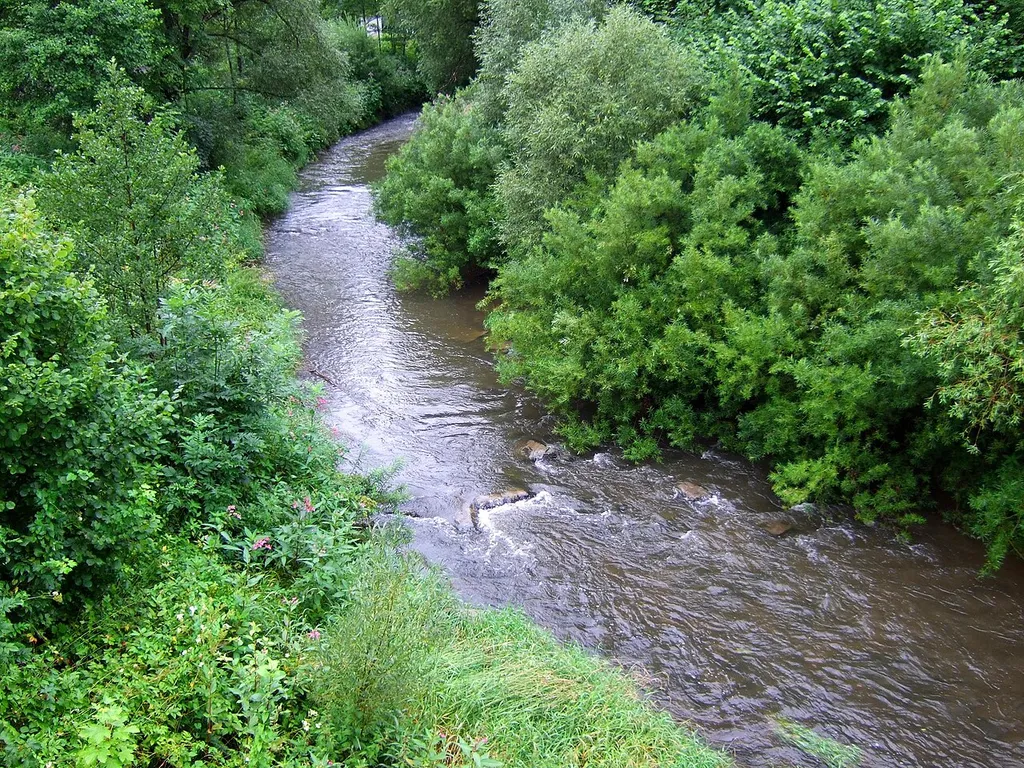 Die Eschach vor Bühlingen