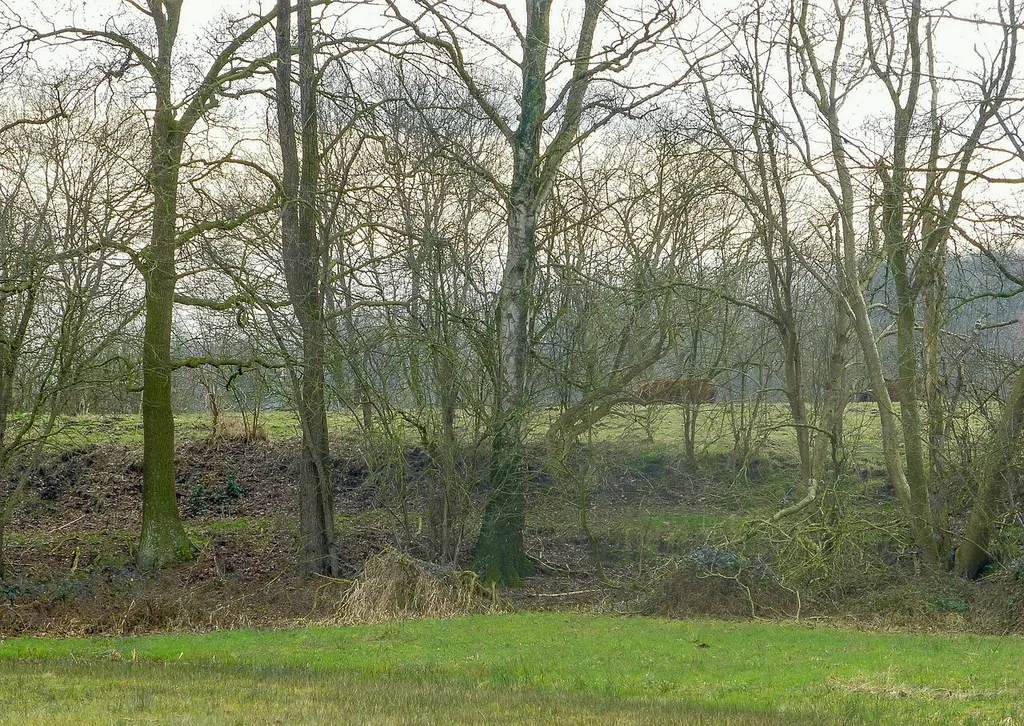 Das Plateau der Moorburg von Norden