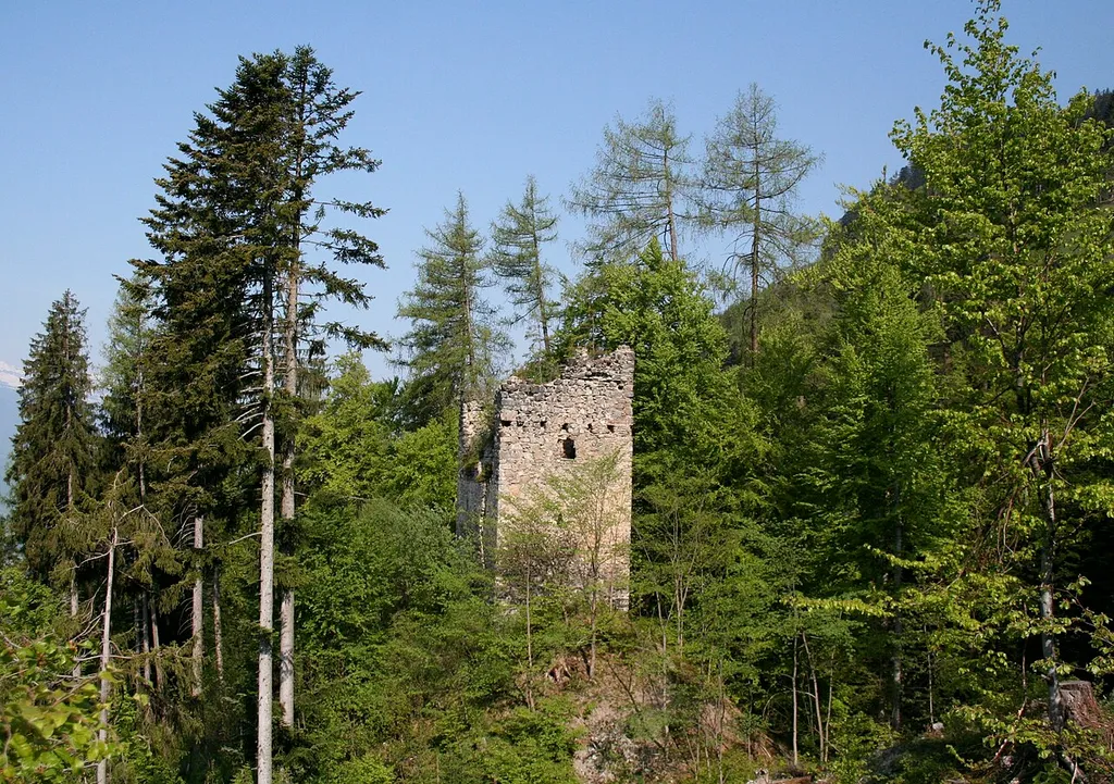 Ruine Klingenhorn, Ansicht von Osten