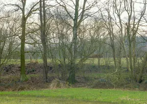 Moorburg (Menslage)
