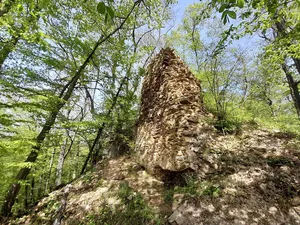 Burg Šenkenberk