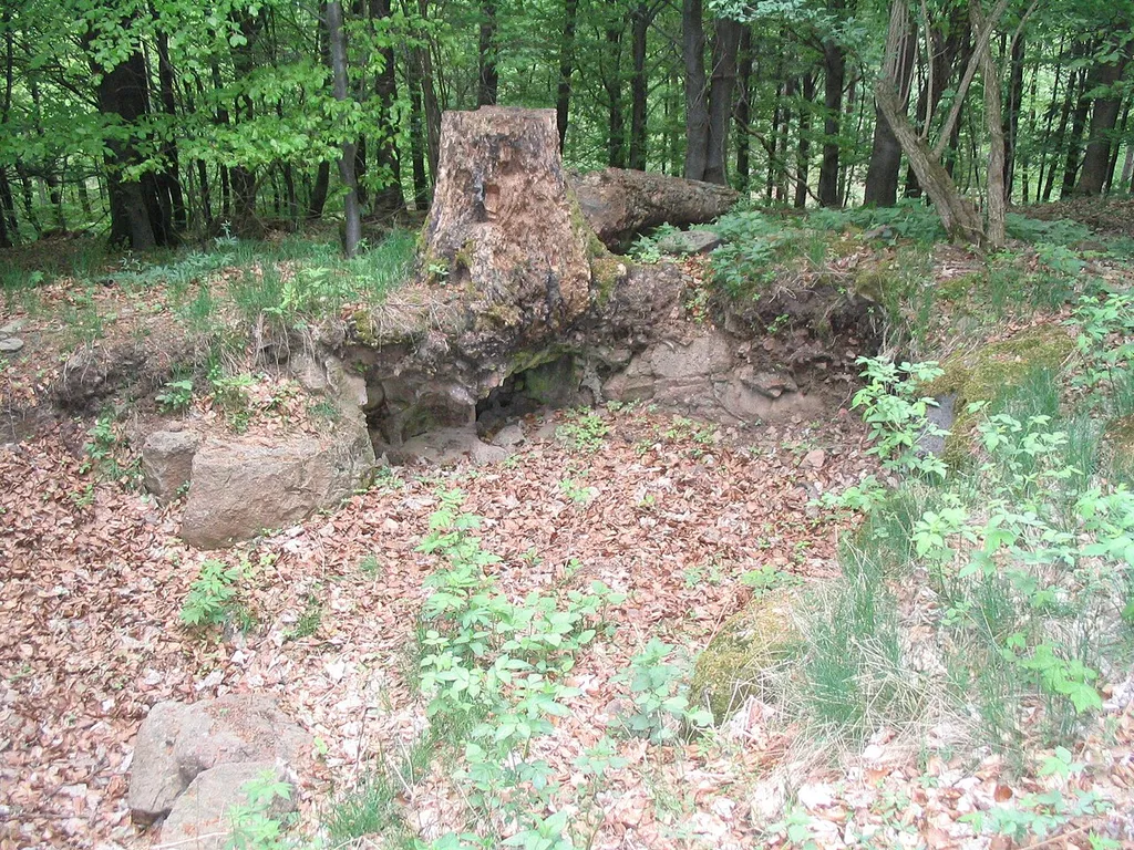 Auf der Naxburg (554 m) bei Freiensteinau im Vogelsberg befand sich eine Burganlage.