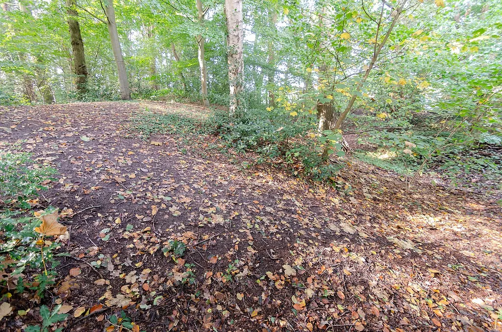 Wiefelstede (Lower Saxony, Germany) – district Bokel – Bokel Castle – remains of the former circular rampart