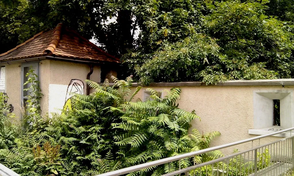 Rest der mittelaltlerlichen Stadtmauer und der landesfürstlichen Burg