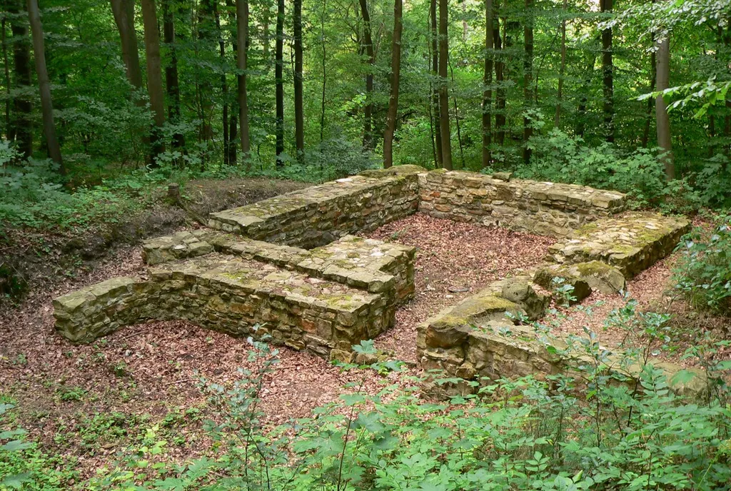Ruine am Burgberg Bad Helmstedt
