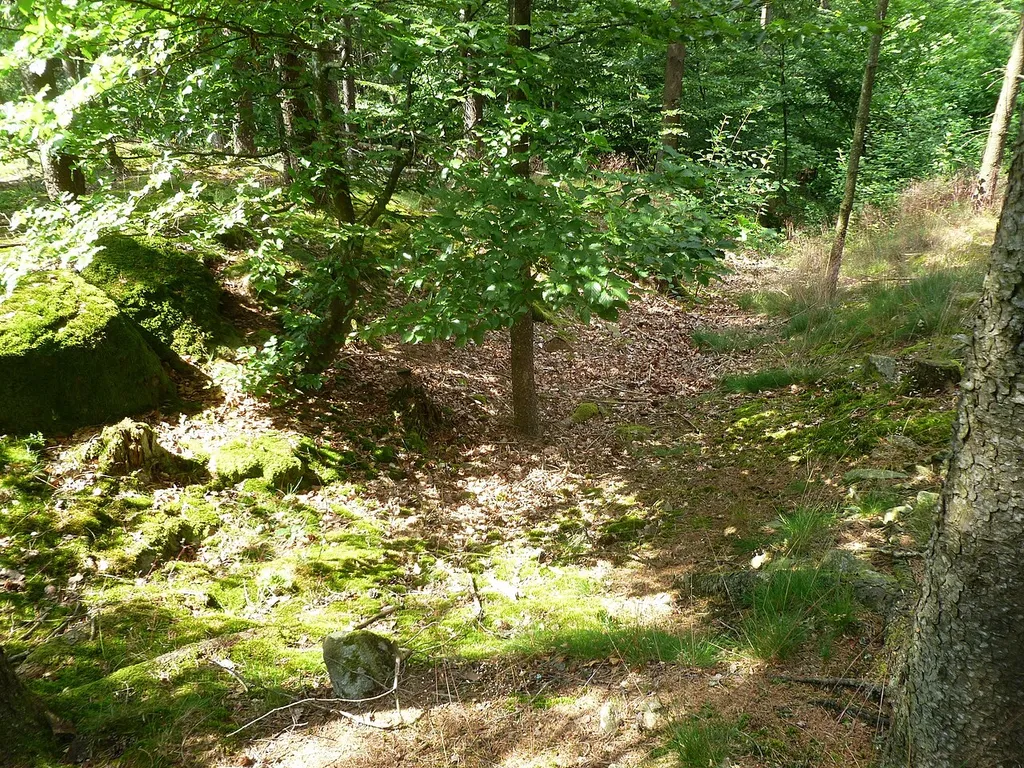 Pfarrkirchen im Mühlkreis (Burgruine Peilenstein)