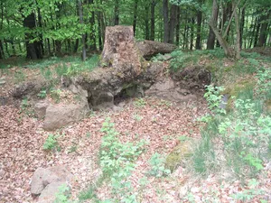 Naxburg