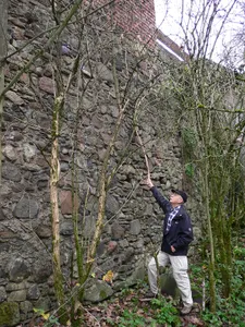 Burg Neu-Dernbach