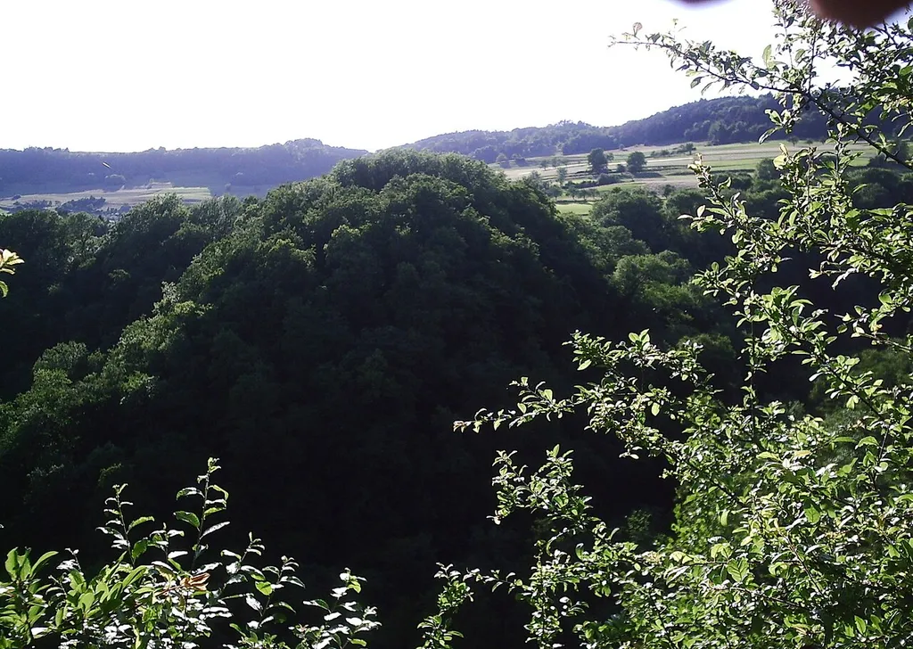 Burghügel der Ruine Altkrenkingen
