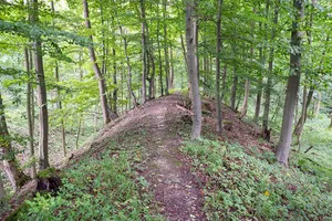 Wallburg Gellinghausen